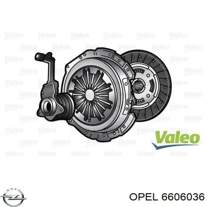6606036 Opel сцепление