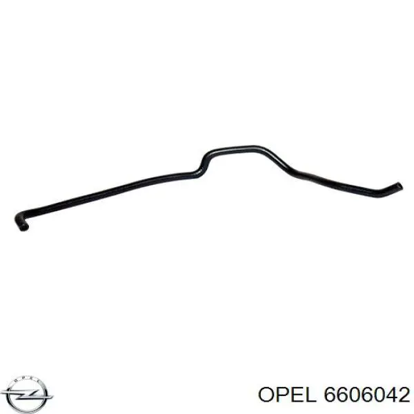 55568529 Peugeot/Citroen Комплект прокладок двигателя, нижний