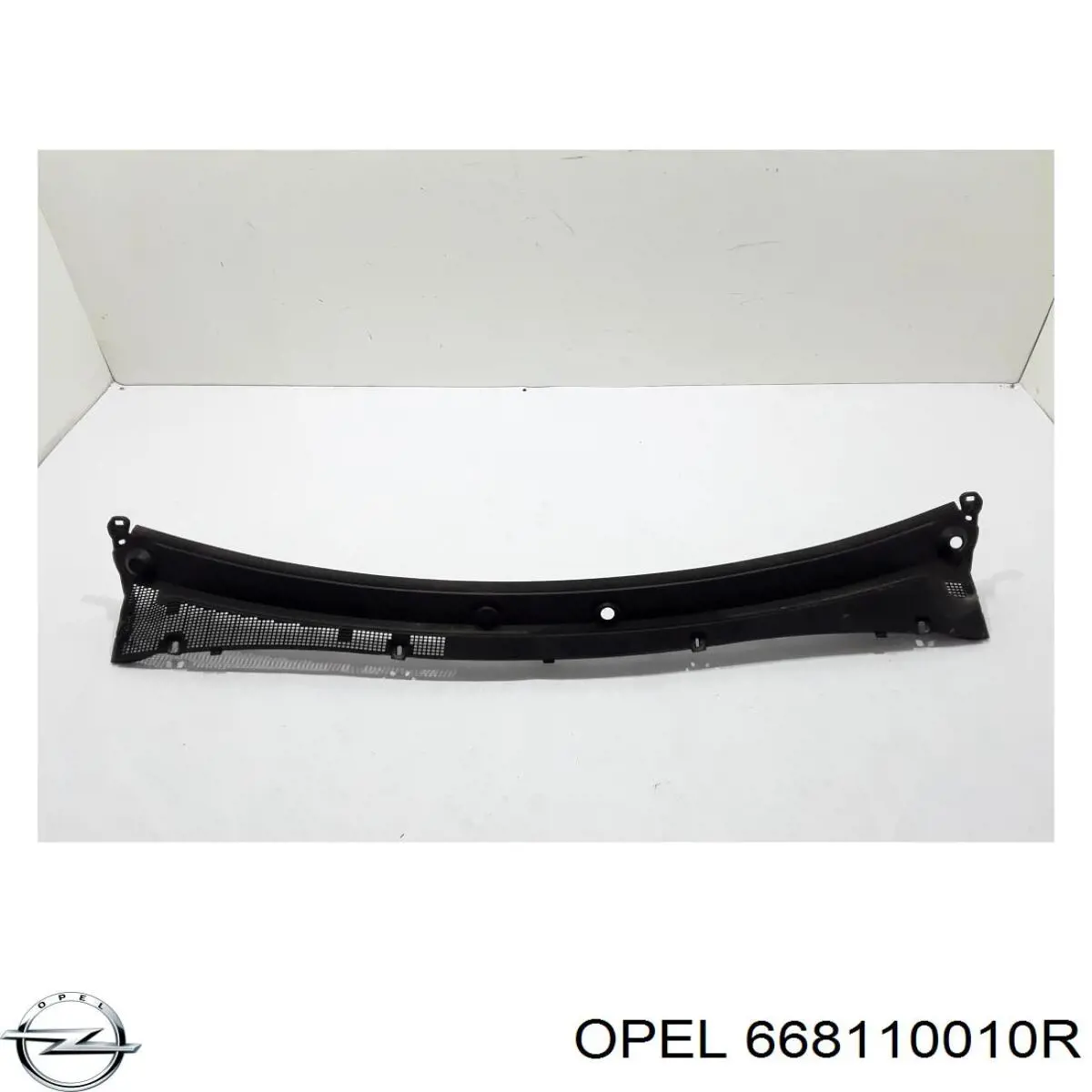  668110010R Opel