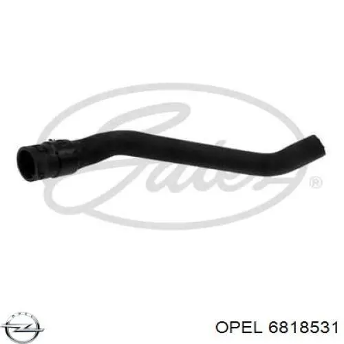  Opel 6818531 цена, от 15.29 USD