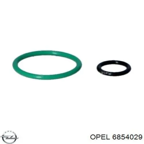 Компрессор кондиционера 6854029 Opel