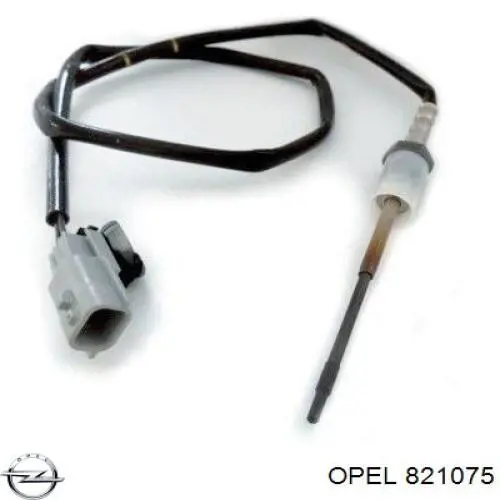 821075 Opel Топливные форсунки