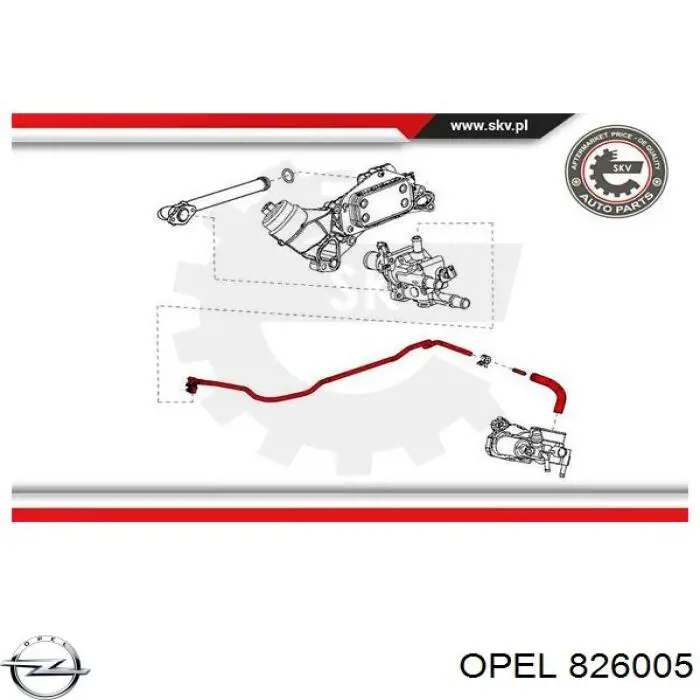 Шланг (патрубок) обогрева дроссельной заслонки Opel 826005 цена, от 23.16 USD
