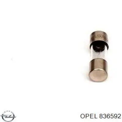 836592 Opel дмрв