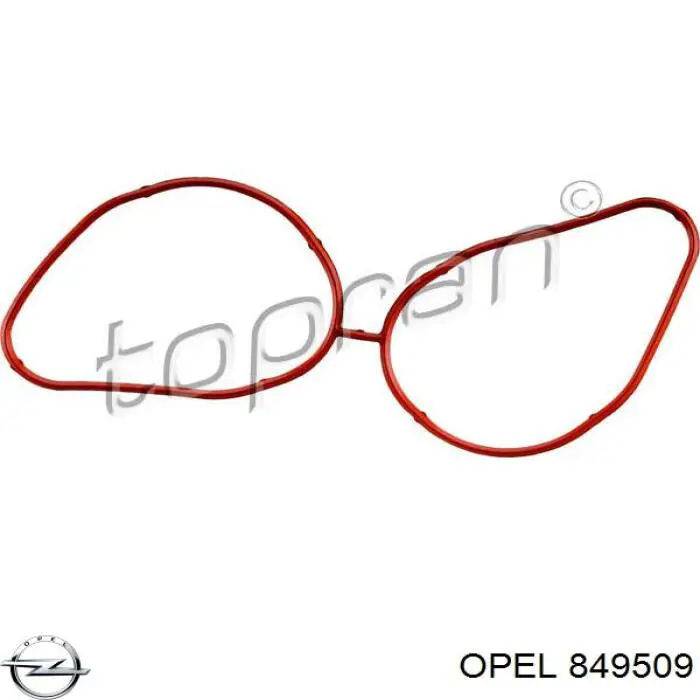 Прокладка впускного коллектора нижняя Opel 849509 цена, от 5.93 USD