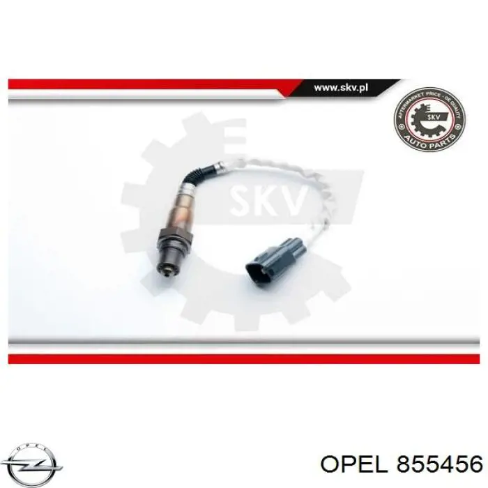  855456 Opel