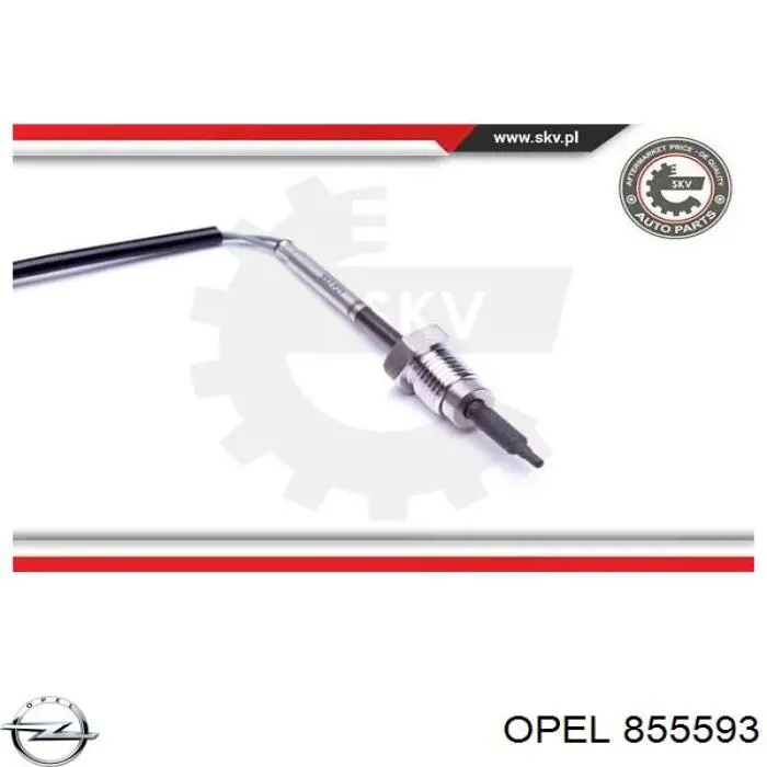  55594234 General Motors