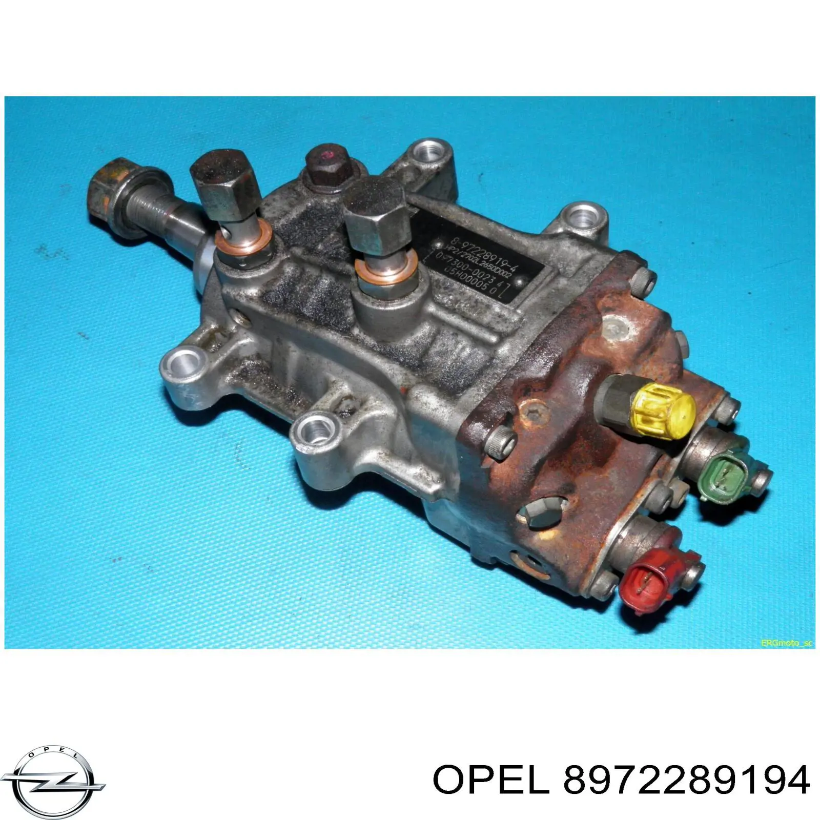 8972289194 Opel 