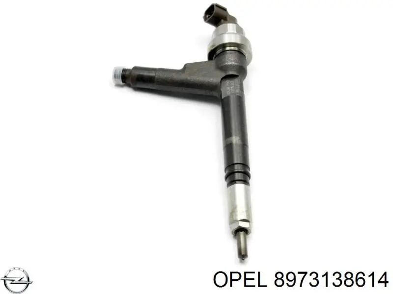 Форсунки Isuzu 8973138615