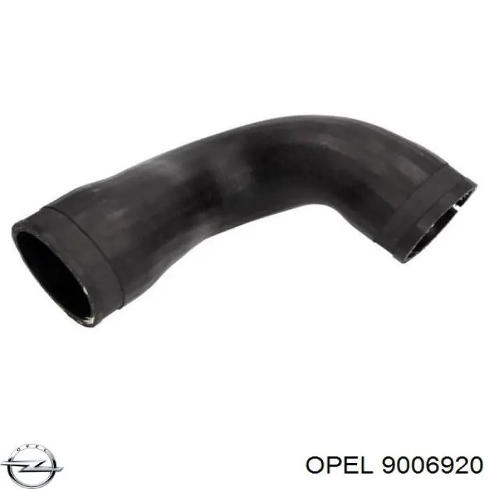 9006920 Opel 