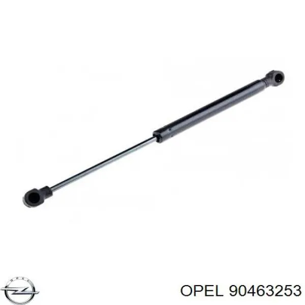 Амортизатор багажника GS0177 Magneti Marelli