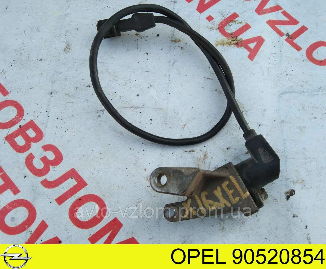 Купить 90520854 Opel Датчик оборотов коленвала