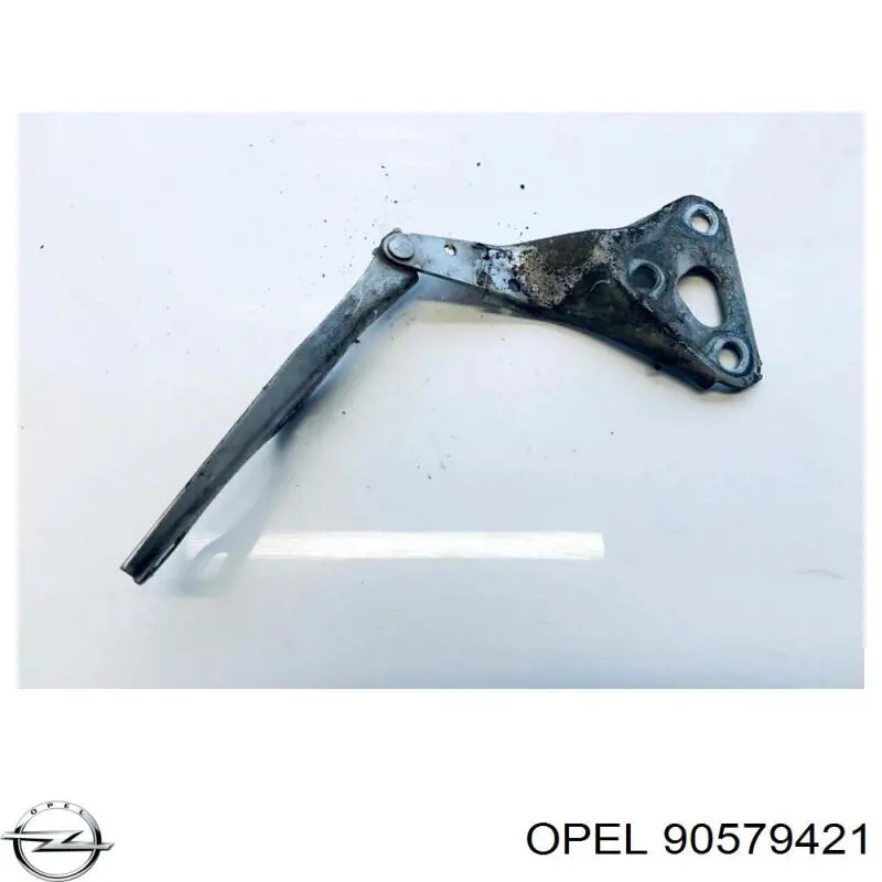 Петля капота, левая General Motors 90579421 цена, от 5.52 USD