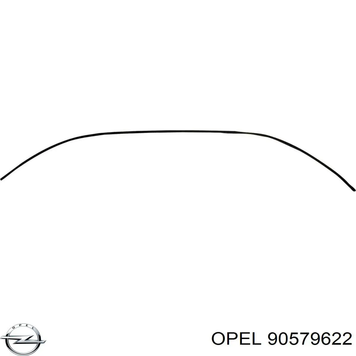 Защитная накладка переднего стекла нижняя Opel 90579622 цена, от  USD