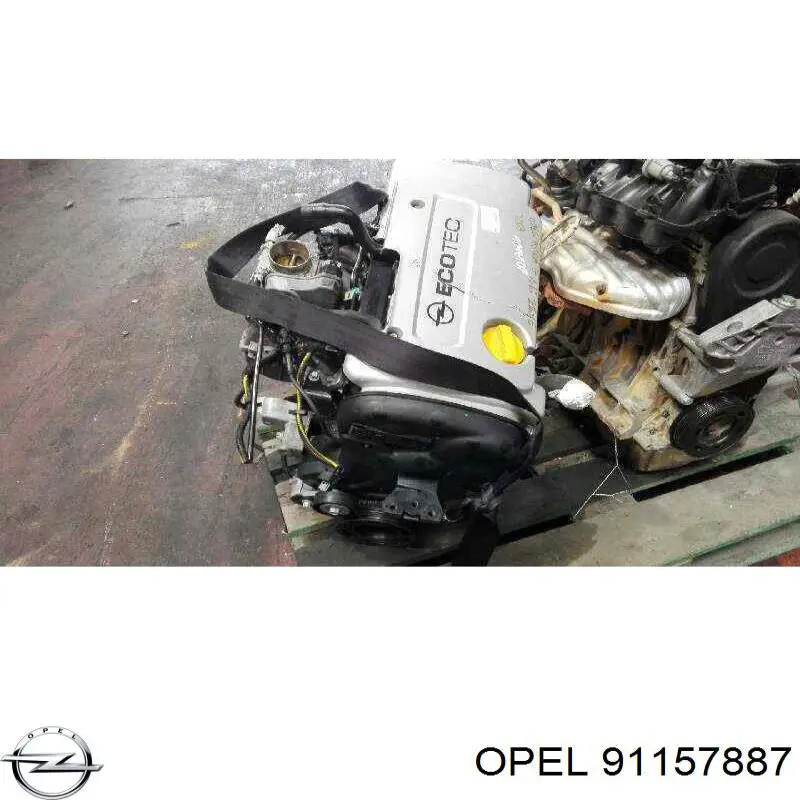 Задний левый стоп на Opel Frontera B 6B