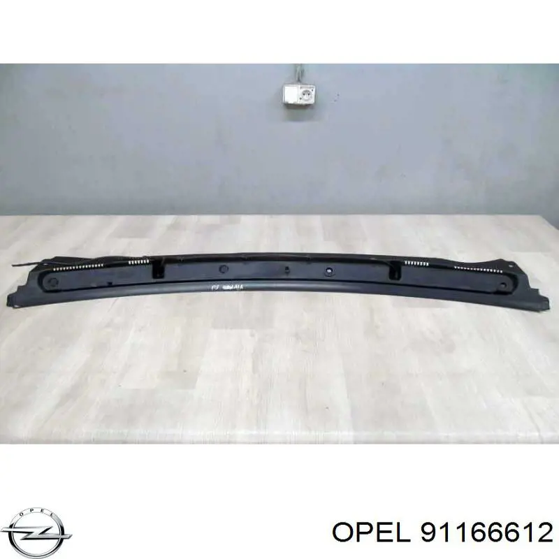 91166612 Renault (RVI) Водосток лобового стекла, жабо