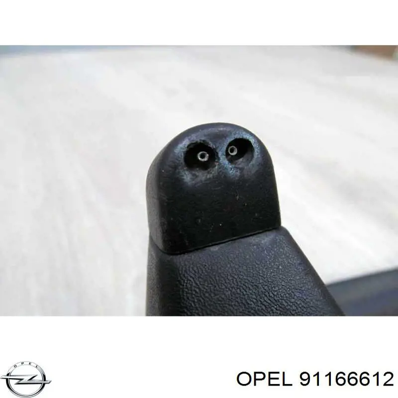 Водосток лобового стекла, жабо 91166612 Renault (RVI)