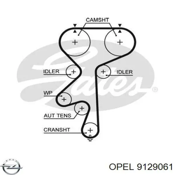 Ремень ГРМ 9129061 Opel