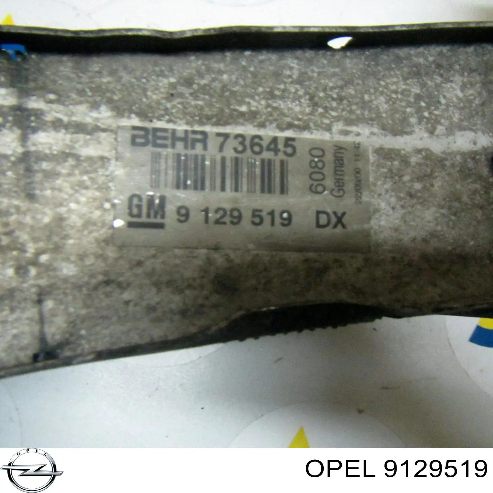 Купить 9129519 Opel Интеркулер