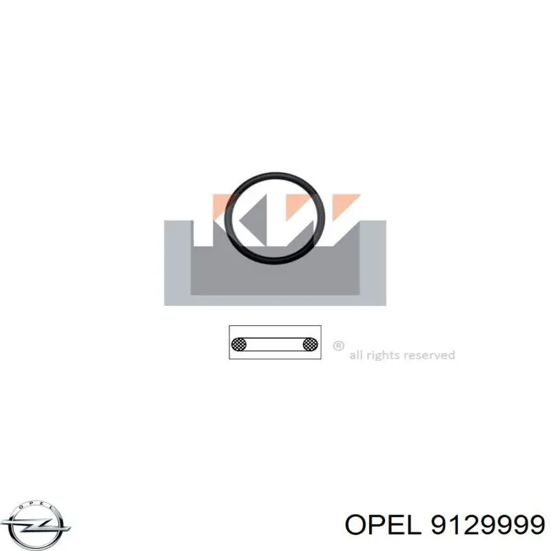 9129999 Opel 