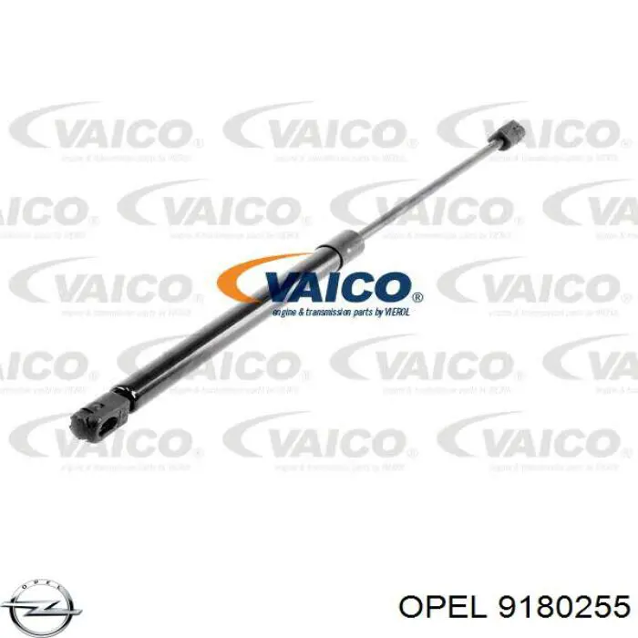 Купить 9180255 Opel Амортизатор двери багажника
