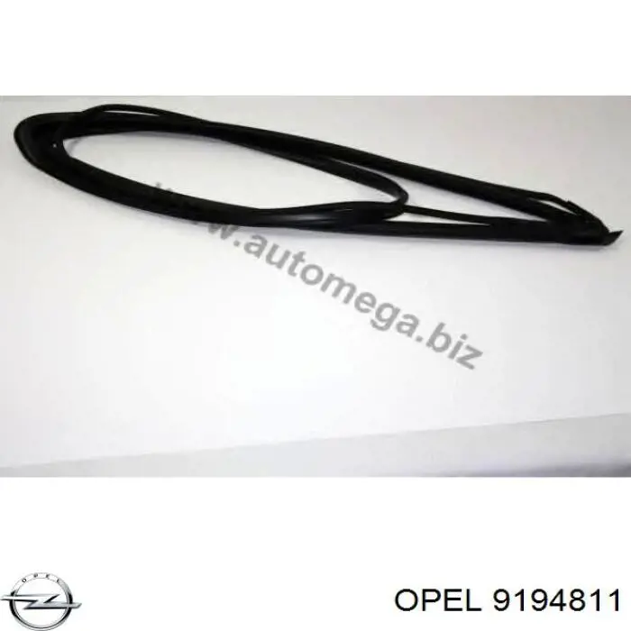162011 Opel Автостекло
