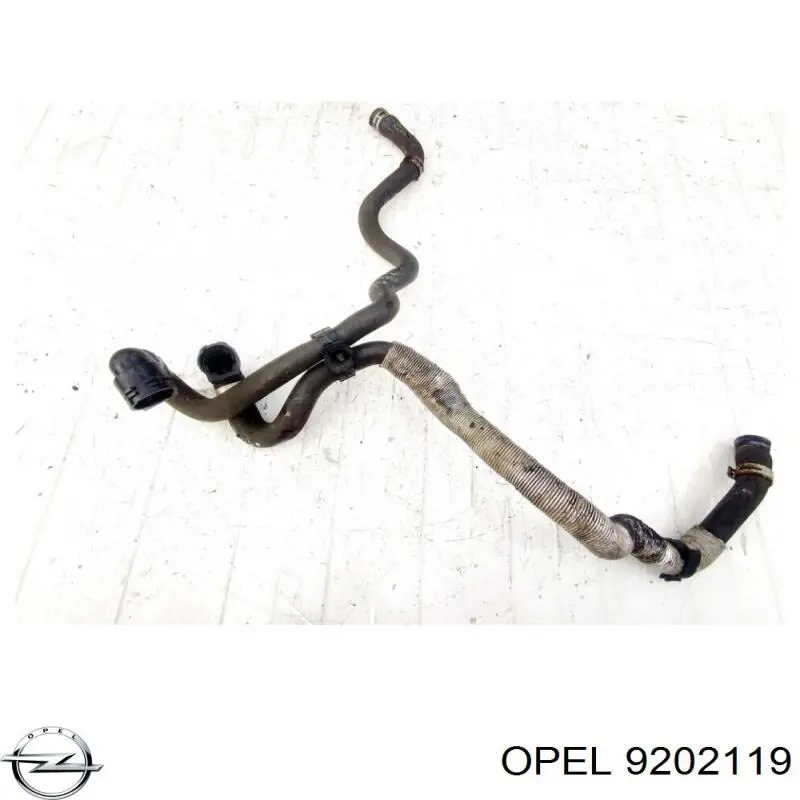 9202119 Opel 