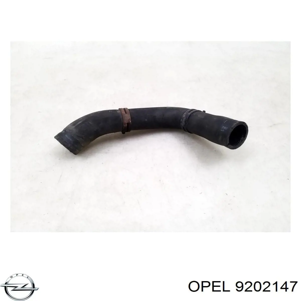 Нижний шлаг радиатора охлаждения 9202147 General Motors