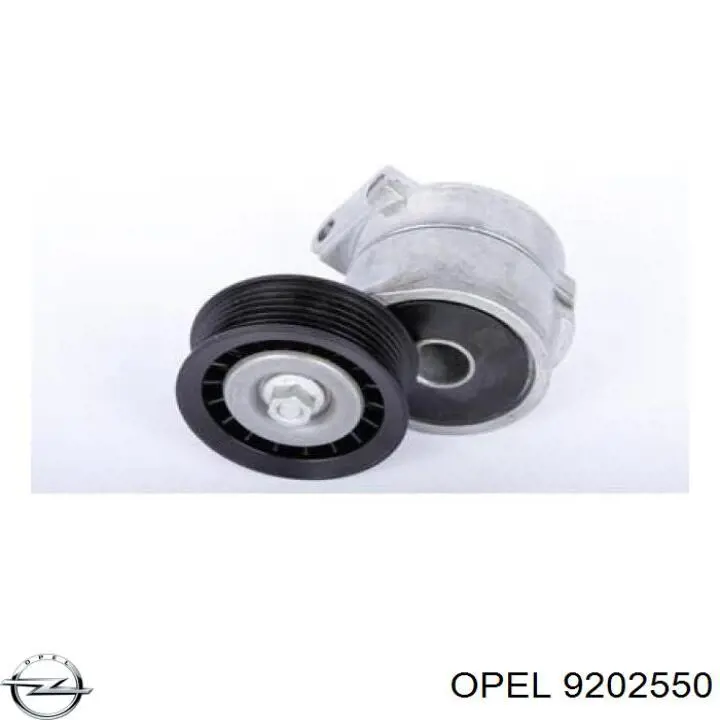 Роликовий модуль натяжителя ремня Opel 9202550 цена, от 47.46 USD