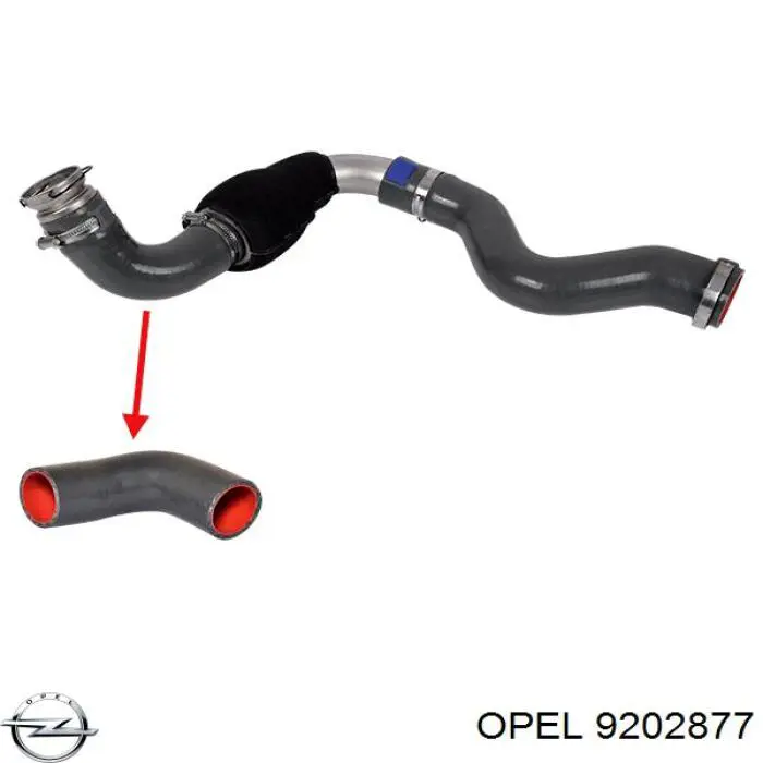 Шланг радиатора, нижний Opel 9202877 цена, от 20.26 USD