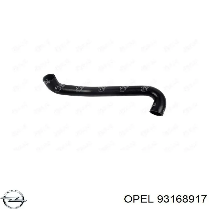 Купить 93168917 Opel Шланг радиатора охлаждения нижний