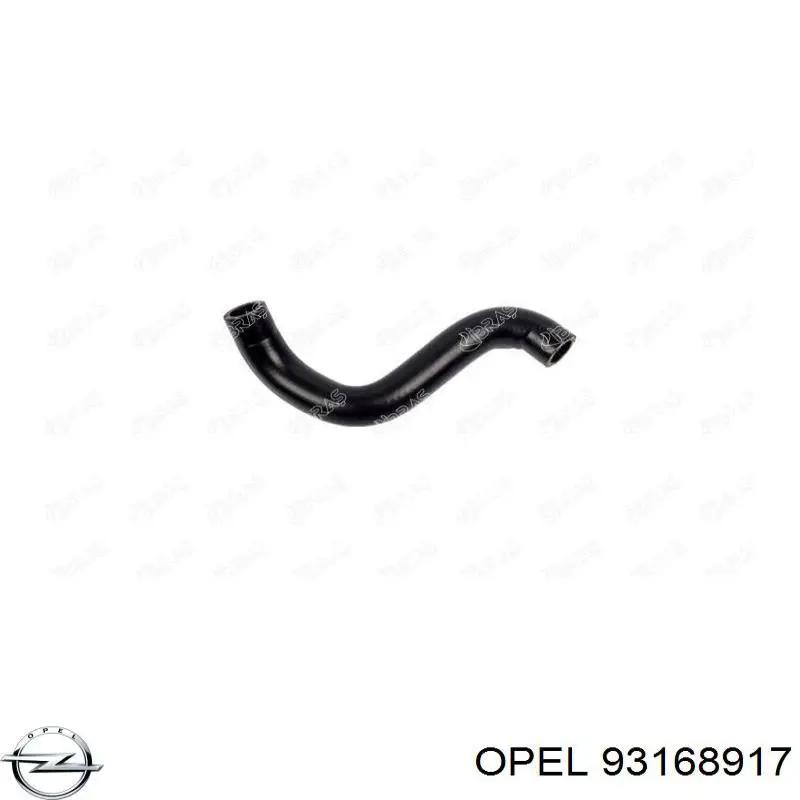 Нижний шлаг радиатора охлаждения 93168917 Opel