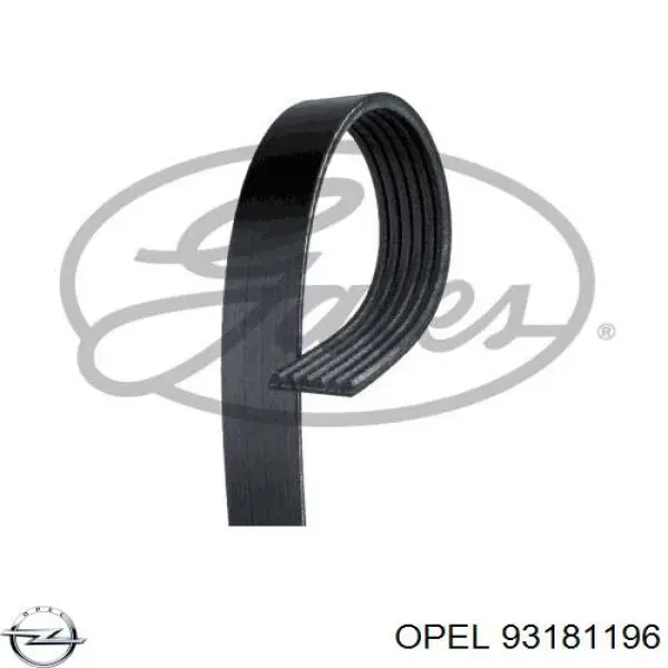 93181196 Opel ремень генератора
