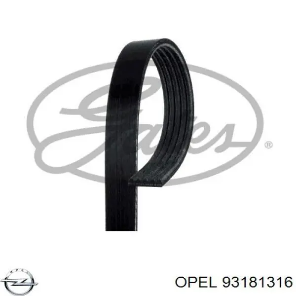 Купить 93181316 Opel Ремень генератора