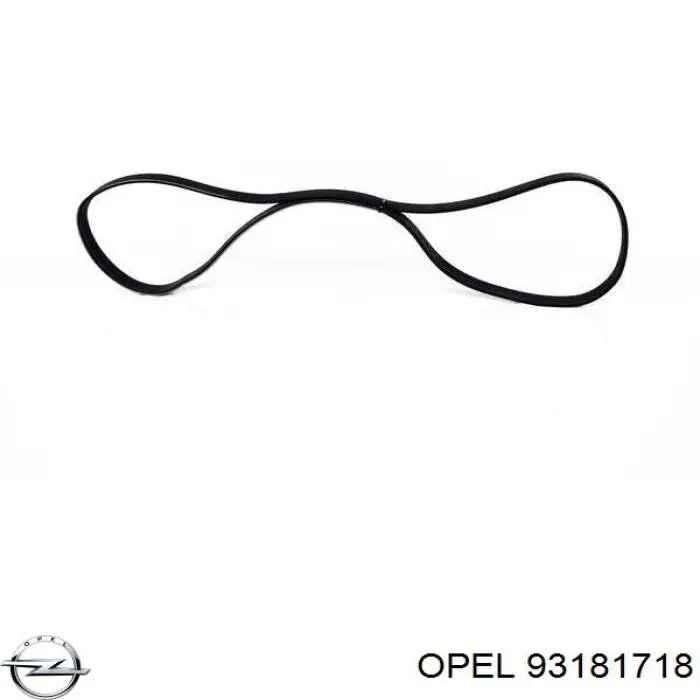 Клиновый ремень Opel 93181718 цена, от 11.79 USD