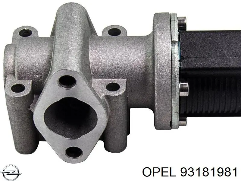 Клапан ЕГР 93181981 Opel