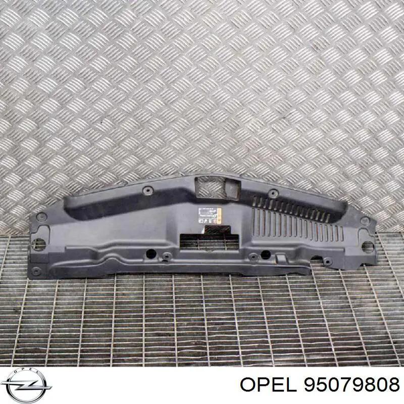  Opel 95079808 цена, от 15.42 USD