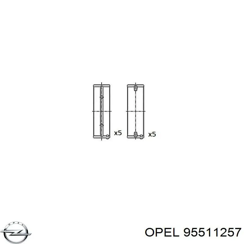 Вкладыши коленвала коренные, стандарт (STD) Opel 95511257 цена, от 35.48 USD