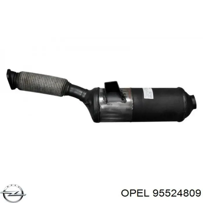 DPF-фильтр Renault (RVI) 200100665R