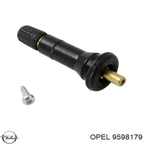  Opel 9598179 цена, от 16.72 USD