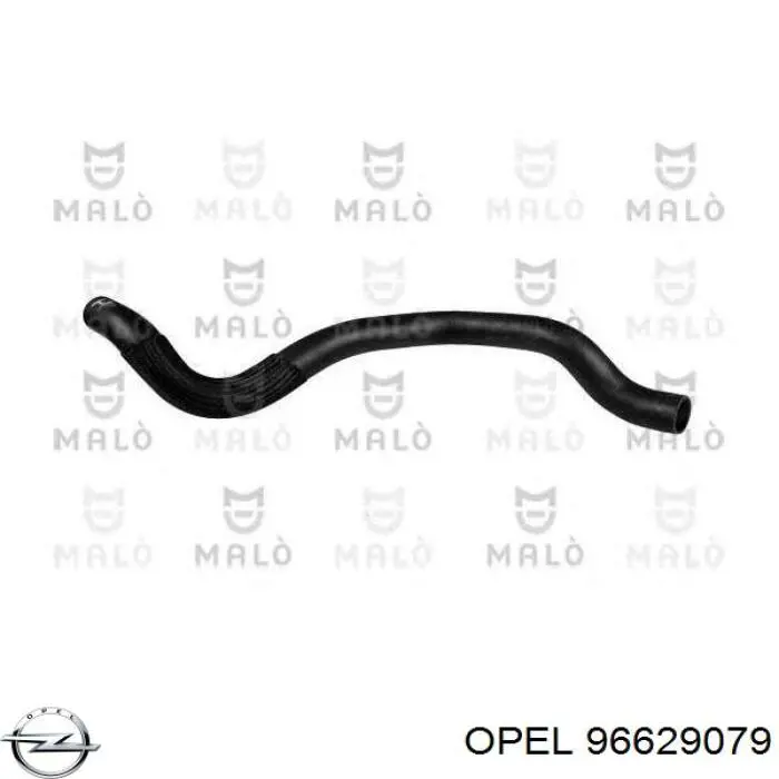 Купить 4805187 Opel Патрубок радиатора