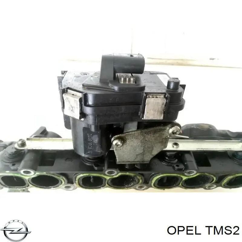 Купить TMS2 Opel 