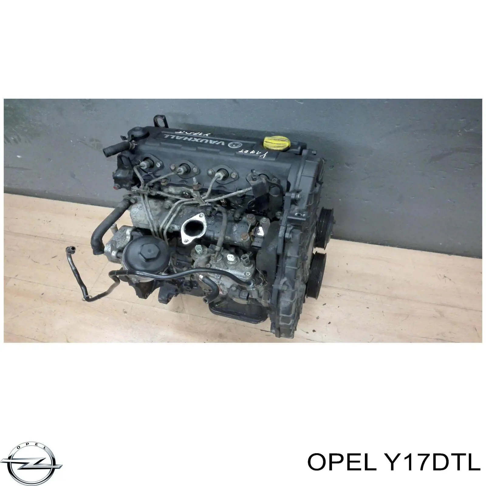 Y17DTL Opel motor montado