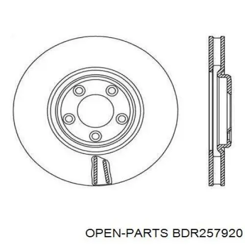 Передние тормозные диски BDR257920 Open Parts