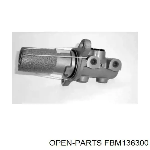  FBM136300 Open Parts