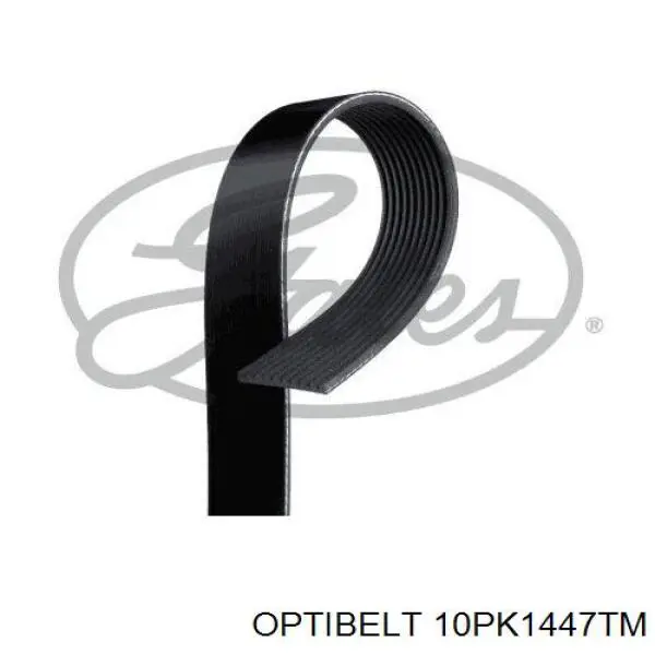 10PK1447TM Optibelt Поликлиновый ремень