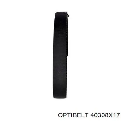 Зубчатый ремень Optibelt 40308X17 цена, от 168.38 UAH