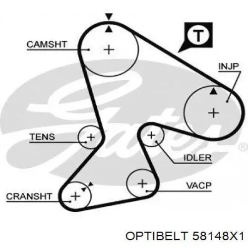 58148X1 Optibelt Ремень двигателя