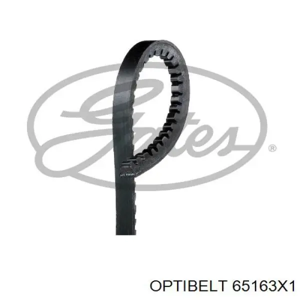 65163X1 Optibelt Ремень двигателя