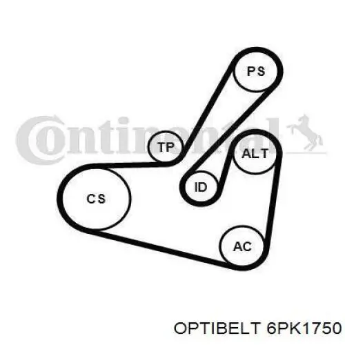Клиновый ремень Optibelt 6PK1750 цена, от 12.78 USD